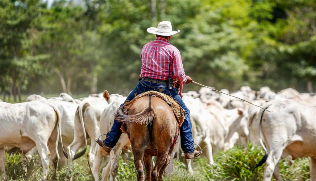 Nextalk - Divisão - agricultura - 050